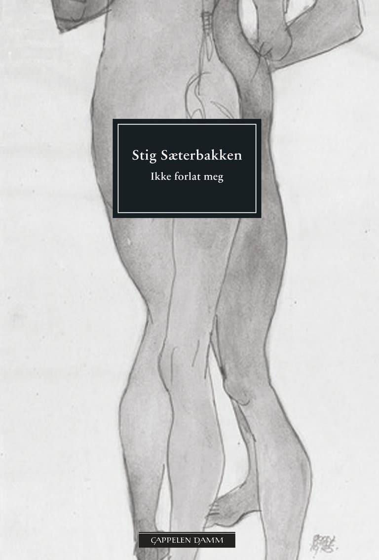 Omslag Ikke forlat meg av Stig Sæterbakken (Heftet)