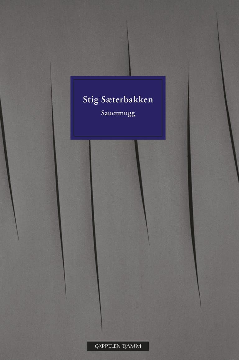Omslag Sauermugg av Stig Sæterbakken (Heftet)