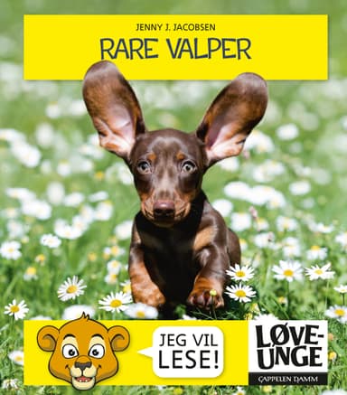 Løveunge - Rare valper
