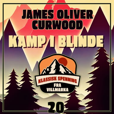 Omslag av "Kamp i blinde"