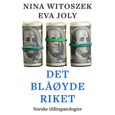 Omslag av "Det blåøyde riket - Norske tillitspatologier"