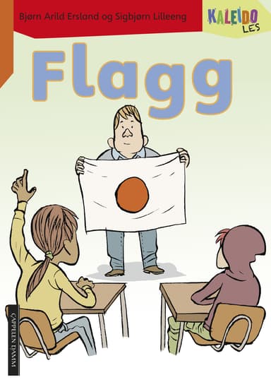 Kaleido Les Nivå 4 Flagg