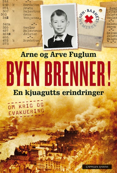 Omslag av "Byen brenner"
