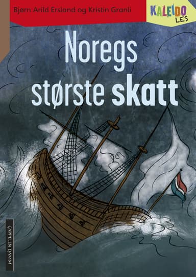 Kaleido Les Nivå 4 Noregs største skatt