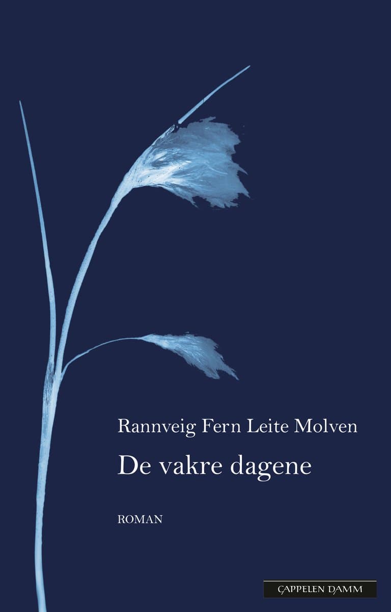 Omslag De vakre dagene av Rannveig Fern Leite Molven (Innbundet)