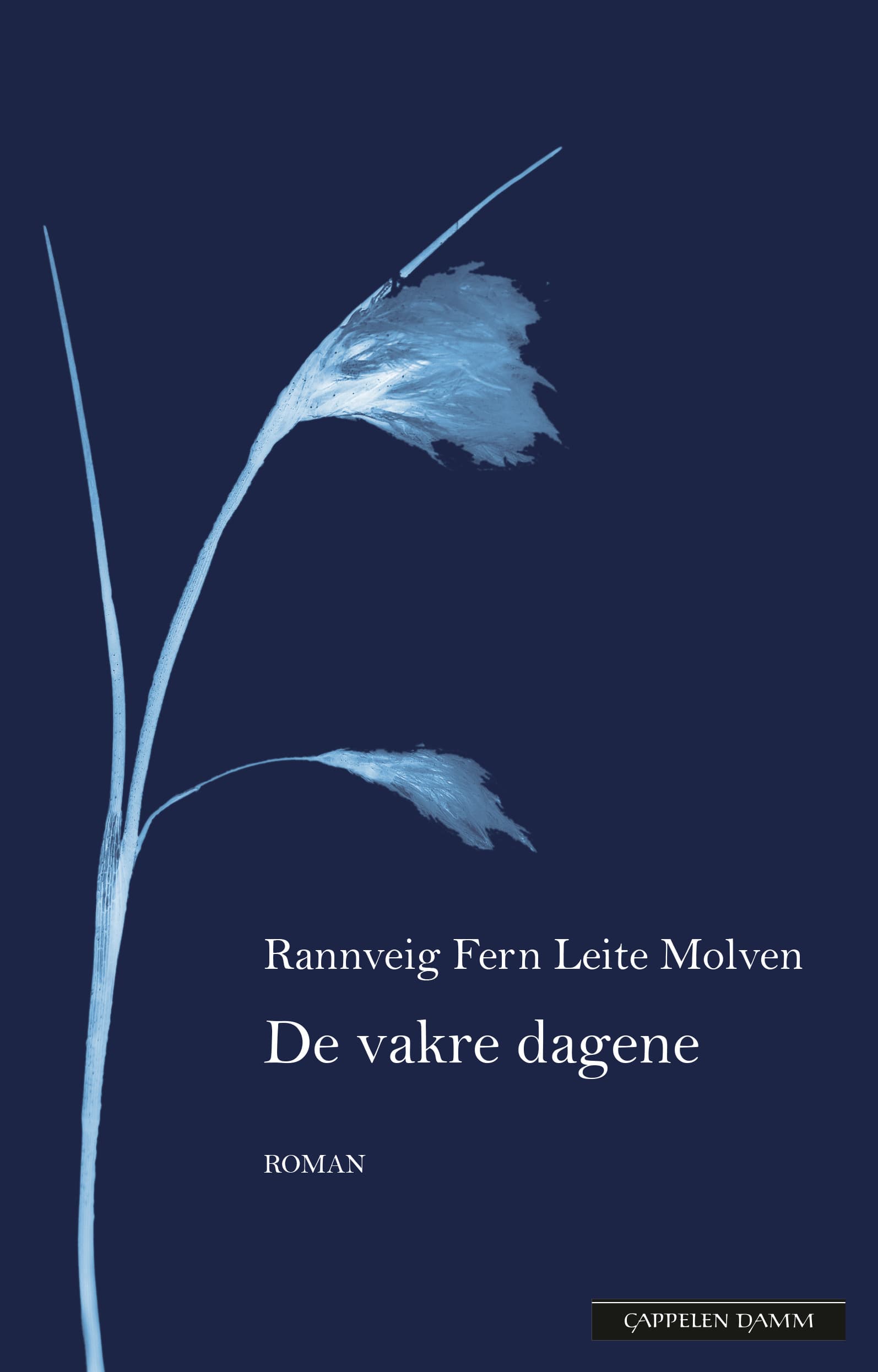 Omslag De vakre dagene av Rannveig Fern Leite Molven (Innbundet)