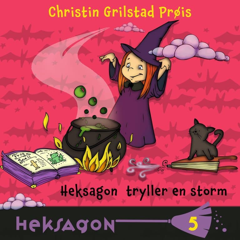 Omslag Heksagon tryller en storm av Christin Grilstad Prøis (Lydbok)