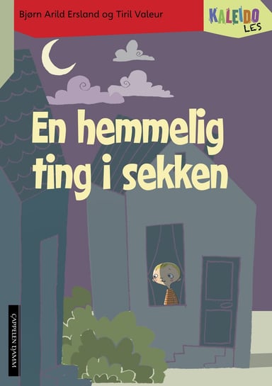 Omslag av "Kaleido Les Nivå 4 En hemmelig ting i sekken"