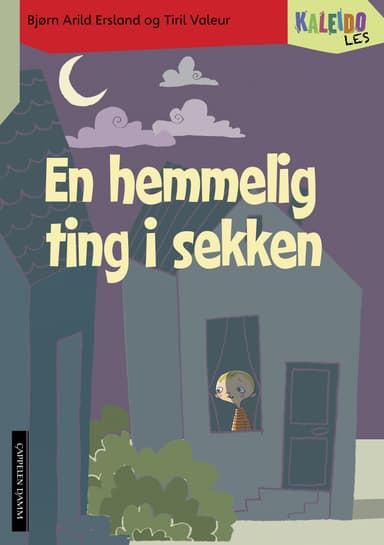Kaleido Les Nivå 4 En hemmelig ting i sekken