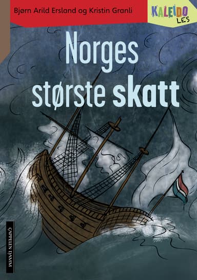Kaleido Les Nivå 4 Norges største skatt