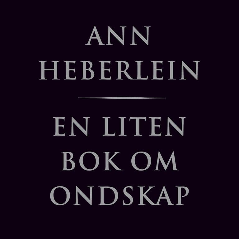 Omslag En liten bok om ondskap av Ann Heberlein (Lydbok)