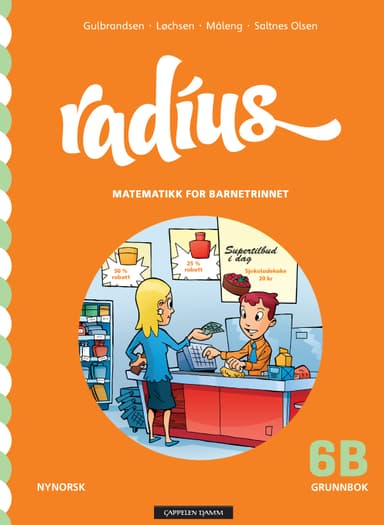 Radius 6B Grunnbok