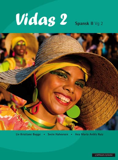 Vidas 2 (2013)
