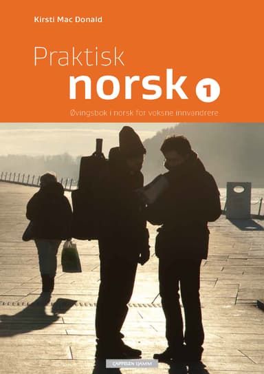 Praktisk norsk 1 (2013)