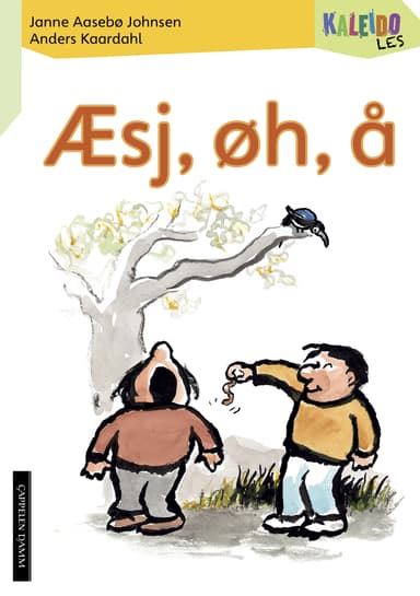 Kaleido Les Nivå 3 Æsj, øh, å