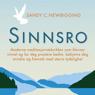 Sinnsro - Moderne meditasjonsteknikker som klarner sinnet