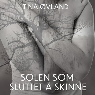Omslag av "Solen som sluttet å skinne"
