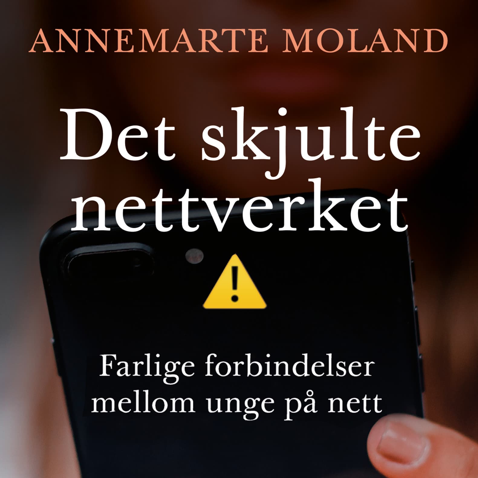 Omslag Det skjulte nettverket - Farlige forbindelser mellom unge på nett av Annemarte Moland (Lydbok)