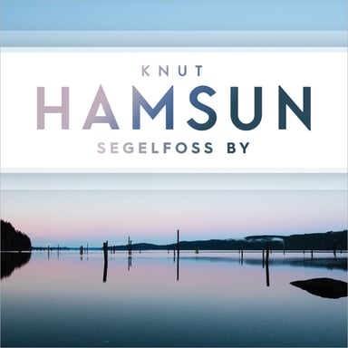 Omslag av "Segelfoss by"