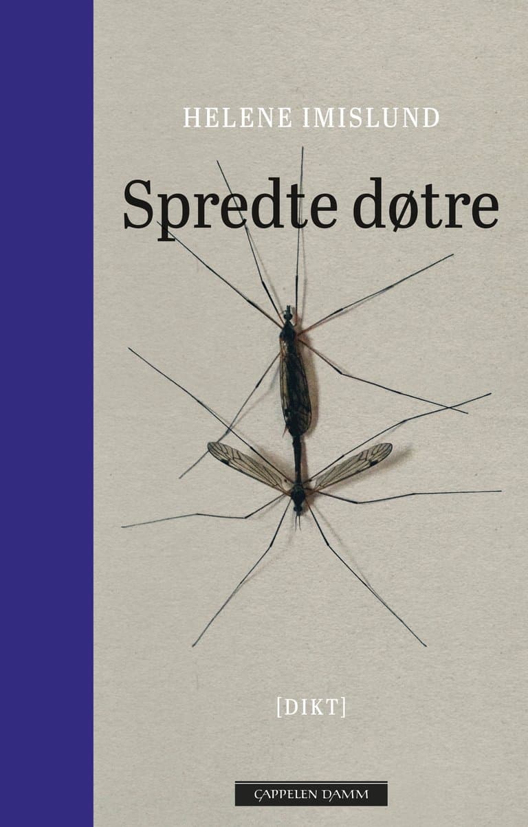 Omslag Spredte døtre av Helene Imislund (Ebok)