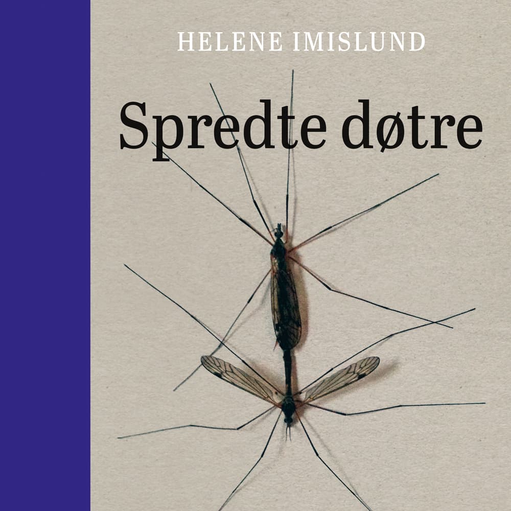 Omslag Spredte døtre av Helene Imislund (Lydbok)