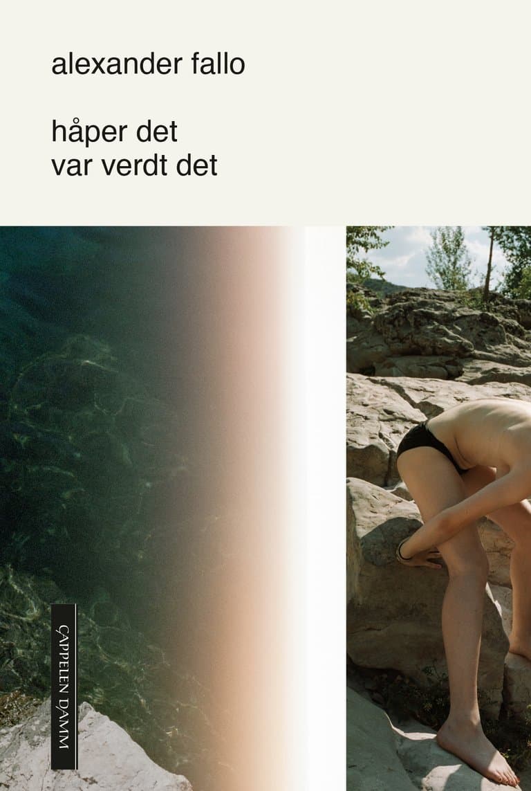 Omslag håper det var verdt det av Alexander Fallo (Ebok)
