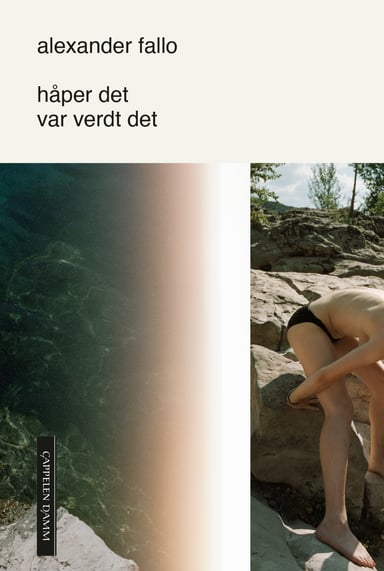 Omslag av "håper det var verdt det"