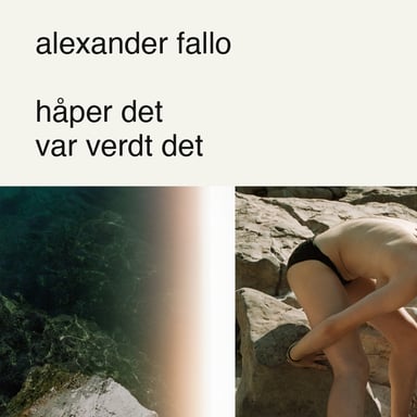 Omslag av "håper det var verdt det"