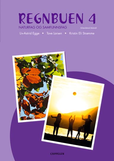 Regnbuen Ny utgave 4 Arbeidsbok