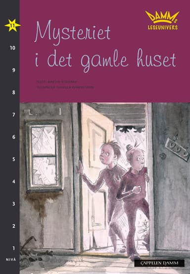 Damms leseunivers 1: Mysteriet i det gamle huset
