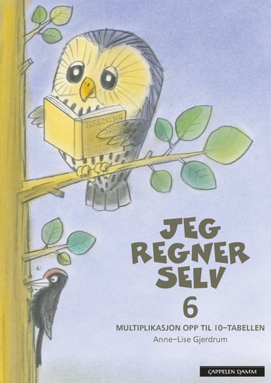 Omslag av "Jeg regner selv 6"