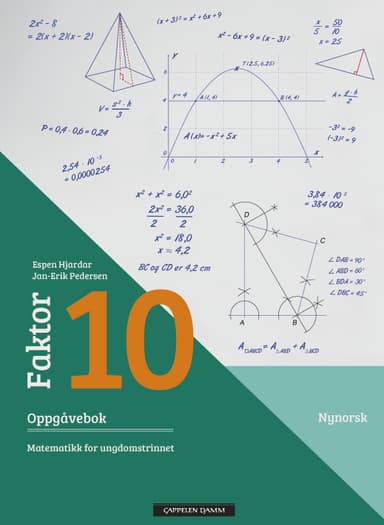 Faktor 10 Oppgåvebok