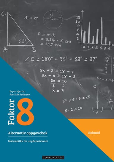 Faktor 8 Alternativ oppgavebok (e)