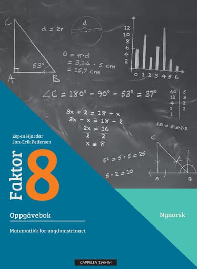 Faktor 8 Oppgåvebok