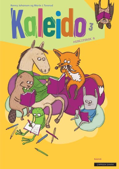Kaleido 3 Arbeidsbok B