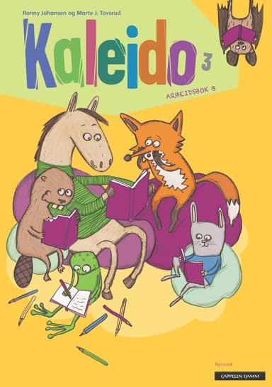 Kaleido 3 Arbeidsbok B