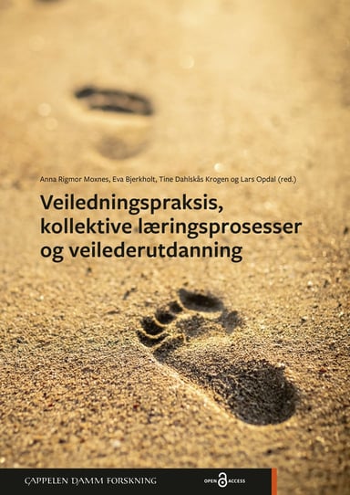 Omslag av "Veiledningspraksis, kollektive læringsprosesser og veilederutdanning"