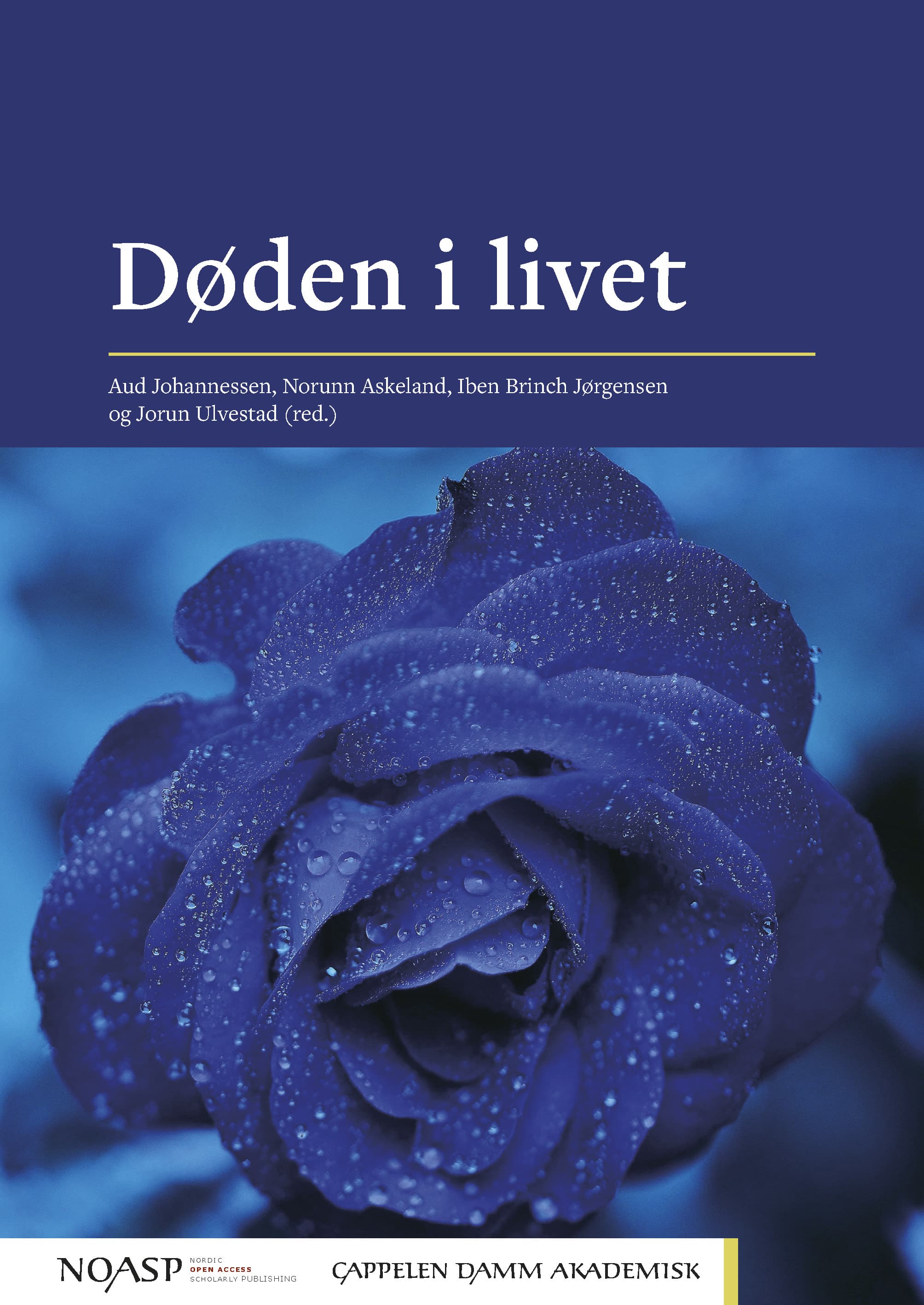 Omslag Døden i livet av Aud Johannessen, Norunn Askeland, Iben Brinch Jørgensen og Jorun Ulvestad (red.) (Heftet)