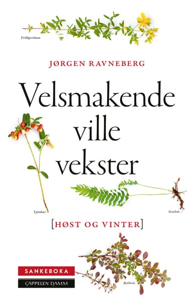 Sankeboka høst og vinter