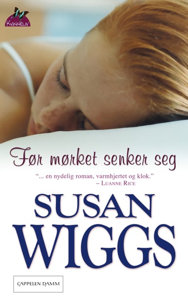 Omslag av "Før mørket senker seg"