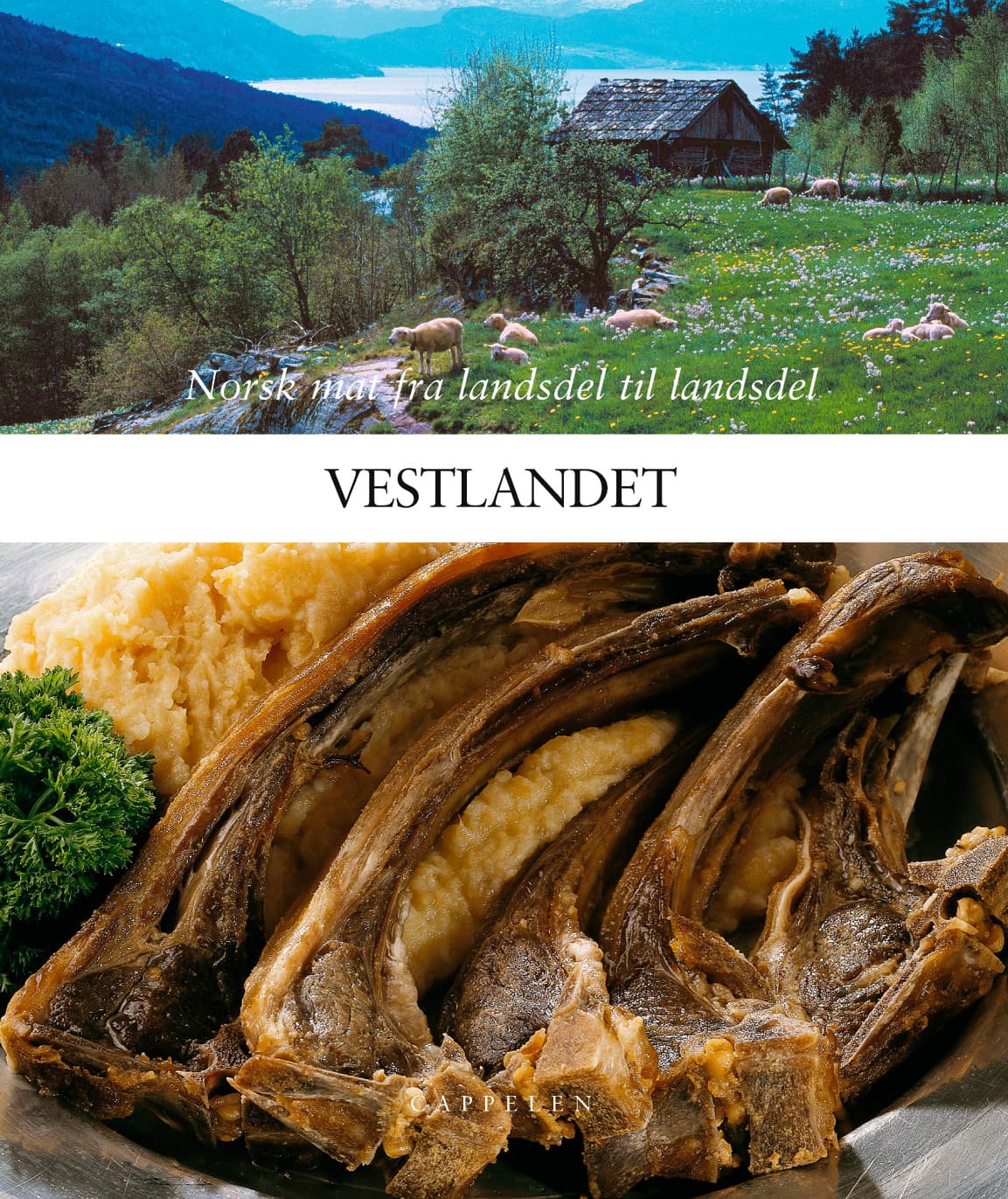 Omslag Vestlandet (Innbundet)