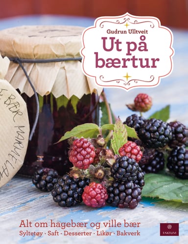 Omslag av "Ut på bærtur"