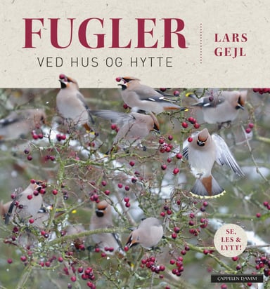 Omslag av "Fugler ved hus og hytte"