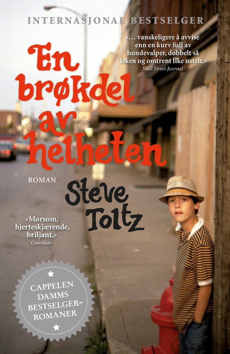 Omslag En brøkdel av helheten av Steve Toltz (Heftet)