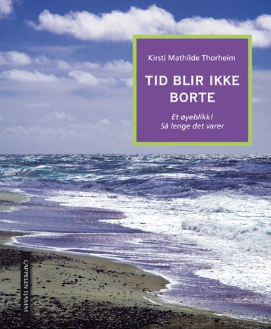 Omslag av "Tid blir ikke borte"