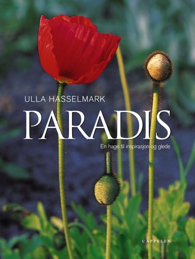 Omslag av "Paradis"