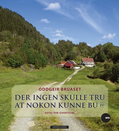Omslag av "Der ingen skulle tru at nokon kunne bu IV"