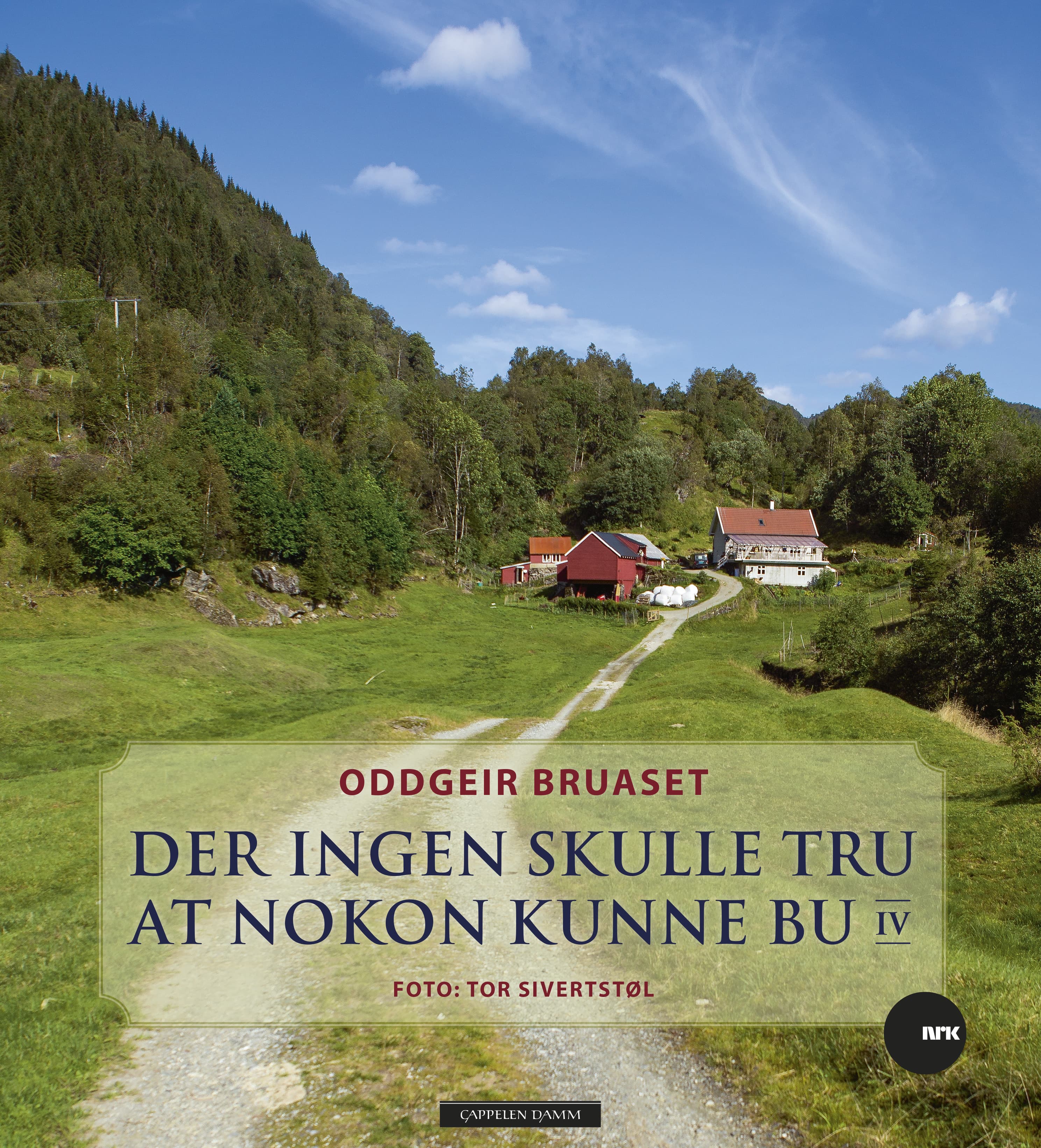 Omslag Der ingen skulle tru at nokon kunne bu IV av Oddgeir Bruaset (Innbundet)