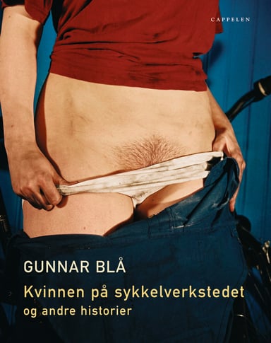 Omslag av "Kvinnen på sykkelverkstedet og andre historier"