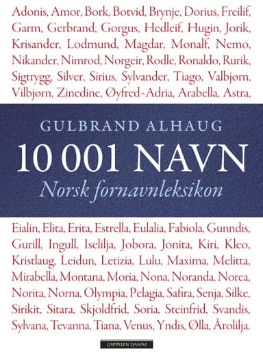 Omslag av "10 001 navn"